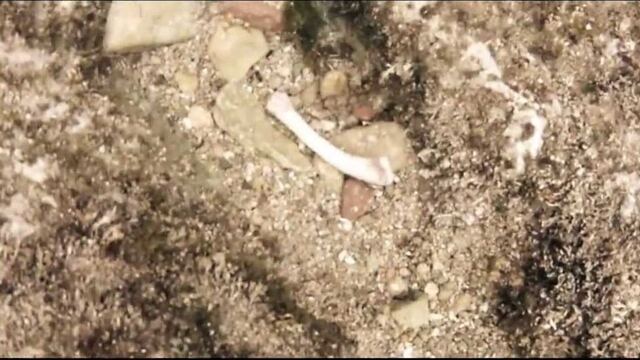 Image du clip Cael 8, Liquid World